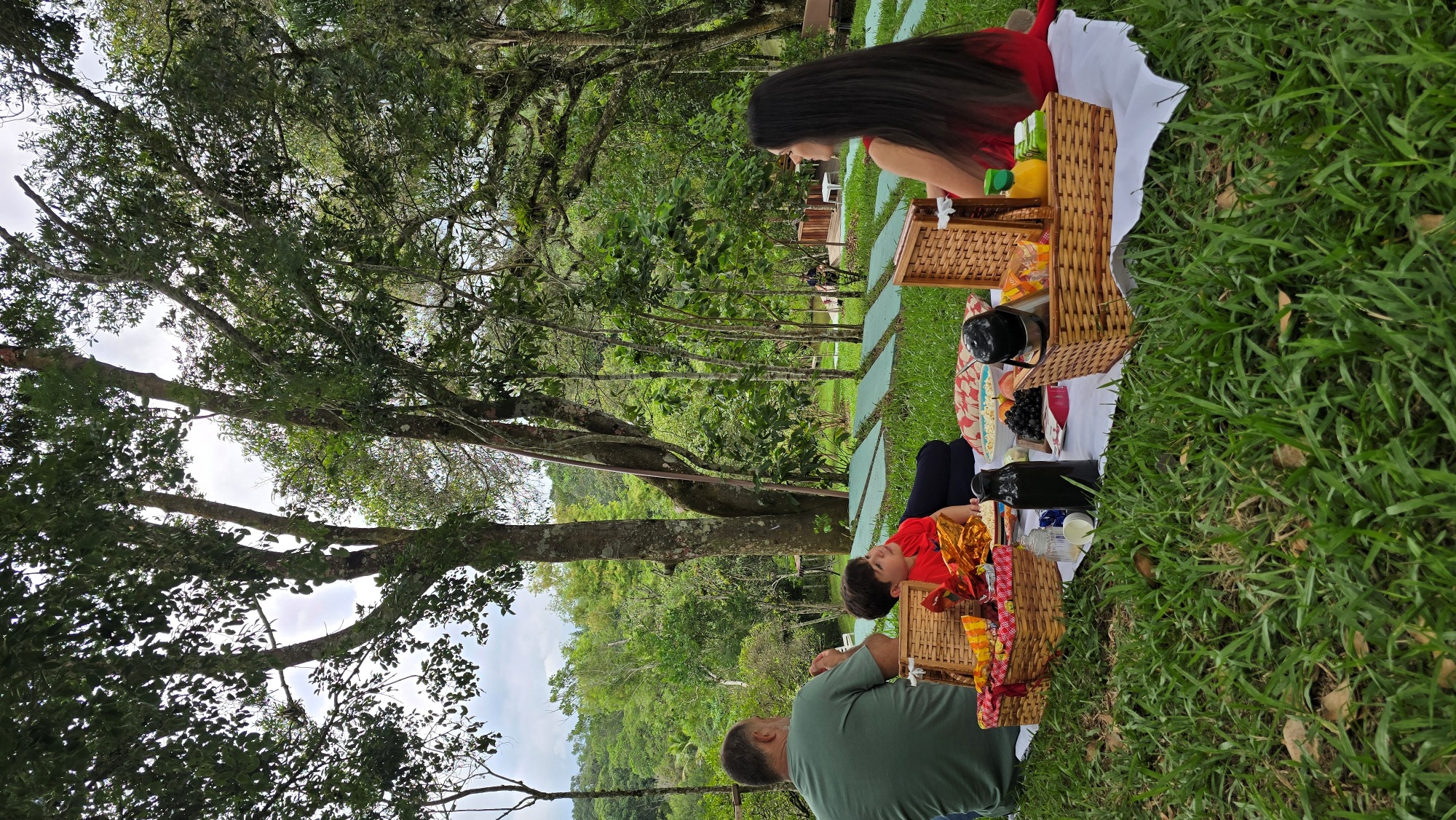 Piquenique Sob as Árvores, Sabor e tranquilidade em cada momento juntos